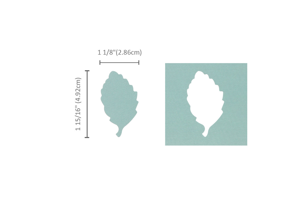 Birch Leaf Template